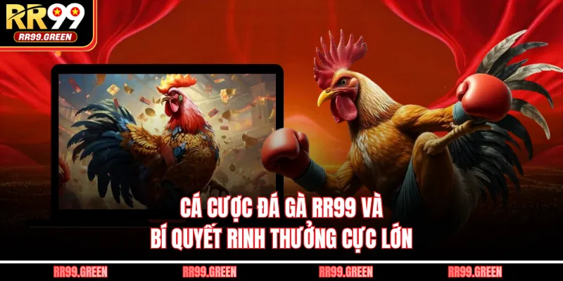 Cá Cược Đá Gà RR99 Và Bí Quyết Rinh Thưởng Cực Lớn